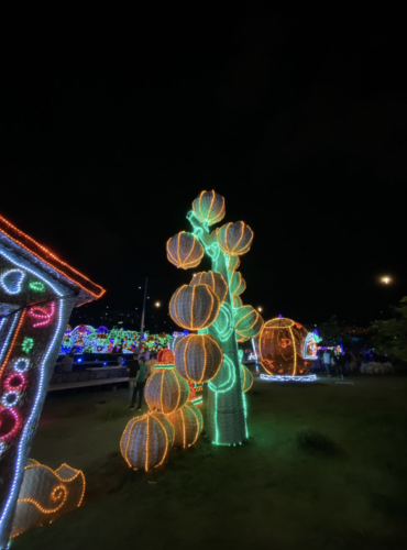 Captura de Pantalla 2021-12-10 a la(s) 2.39.06 p. m.