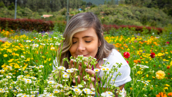 Qué hacer en Medellín