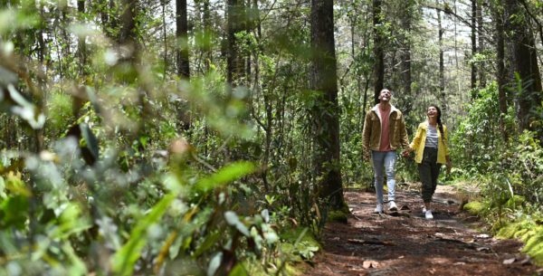 ¡Así se viven las vacaciones en Medellín!