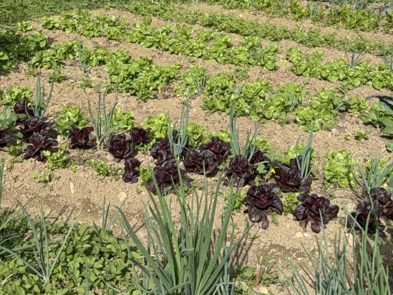 San-Cristóbal-Medellín