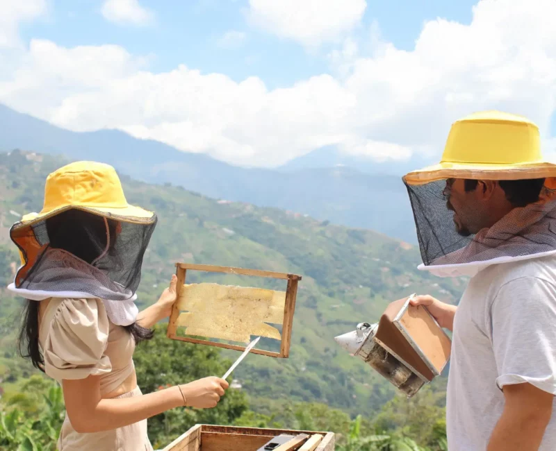 San-Sebastián-de-Palmitas-Medellín