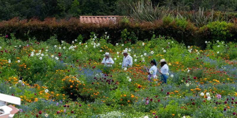 Santa-Elena-Medellín